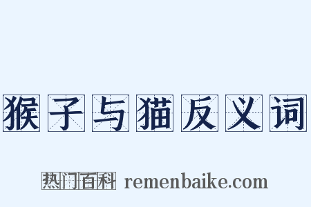 猴子与猫反义词是什么意思的图片